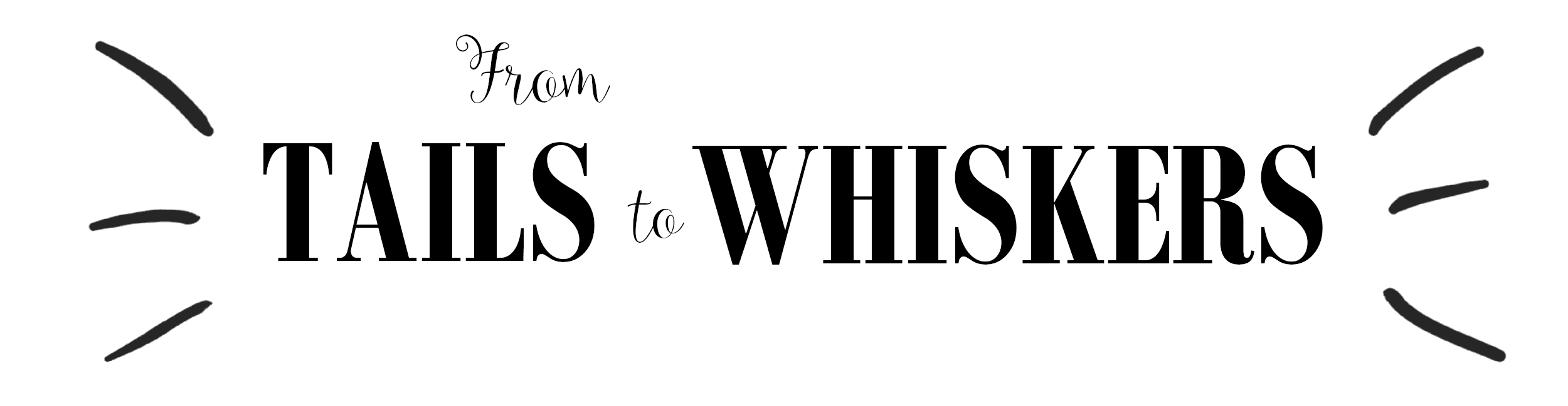 From tails to whiskers logo